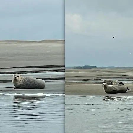 En Plein Coeur Du Crotoy, Un Pied A Terre En Baie Le Crotoy