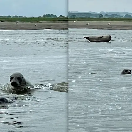 En Plein Coeur Du Crotoy, Un Pied A Terre En Baie Διαμέρισμα Le Crotoy