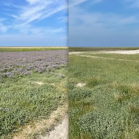 En Plein Coeur Du Crotoy, Un Pied A Terre En Baie Διαμέρισμα